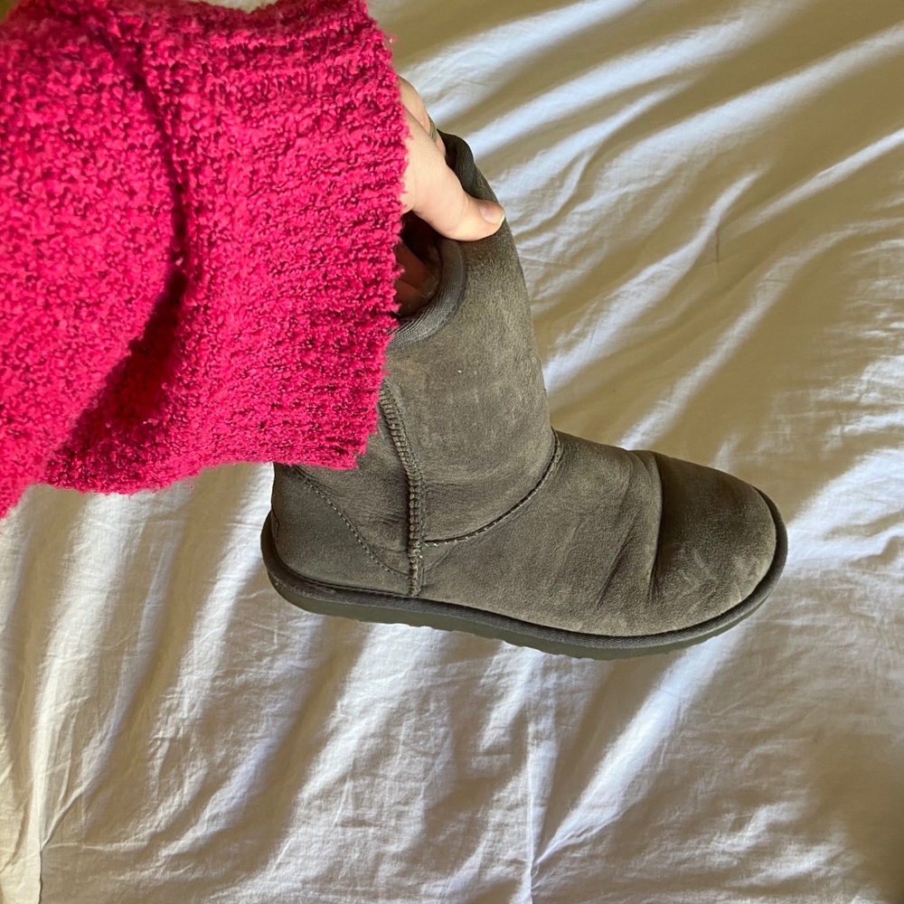 Gray Short Uggs - Picture 9 of 9